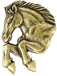 Custom Lapel Pins