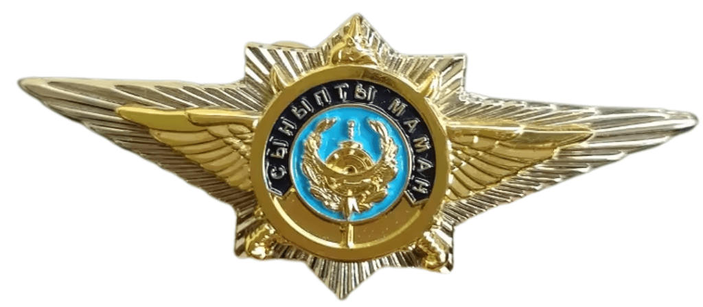 Custom Pins